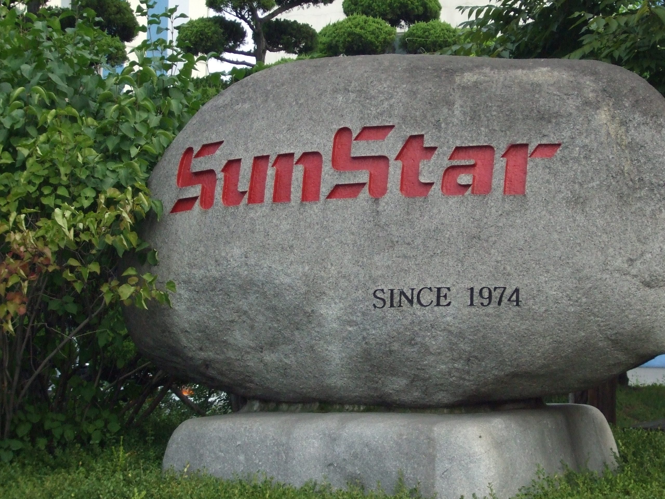 About Us - Sunstar & SWF